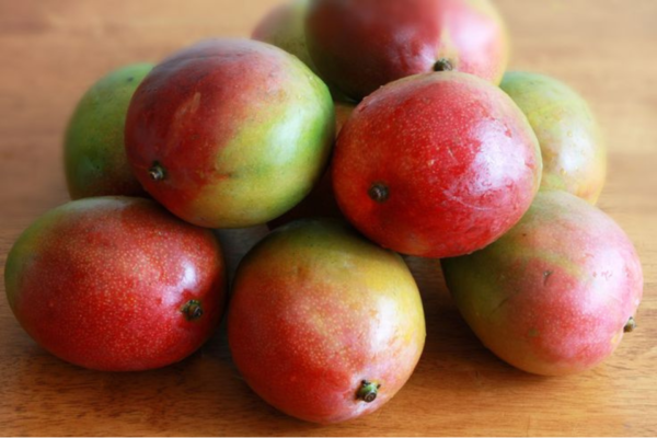 Mangue kent 500g