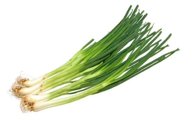 Oignon pont vert 500g