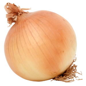 Oignon vert 500g