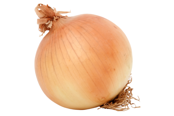 Oignon vert 500g